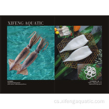 Frozen Todarodes Pacificus Squid Tubes Mražené mořské plody